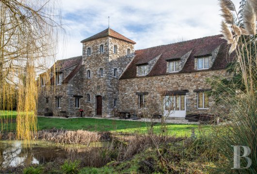 ile-de-france - À 50 km de Paris, dans un petit village de Seine-et-Marne,
 une maison de maître et ses dépendances au sein d'un parc avec piscine