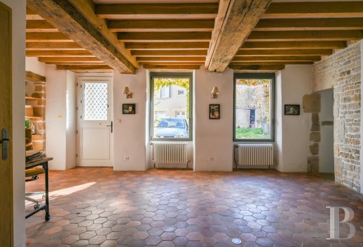 character properties France burgundy   - 11 character properties France burgundy   - 11