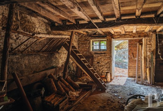 character properties France rhones alps   - 9