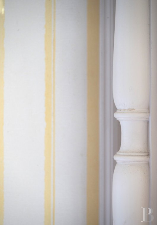 maisons de caractere a vendre ile de france   - 12