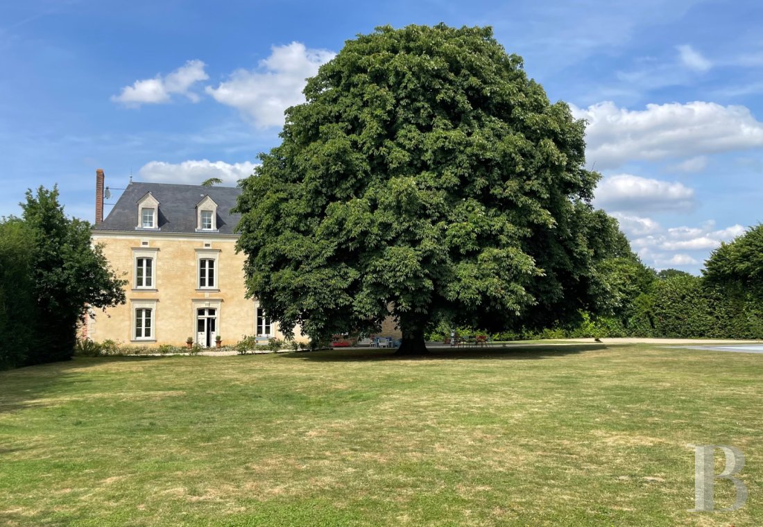 France mansions for sale pays de loire   - 1