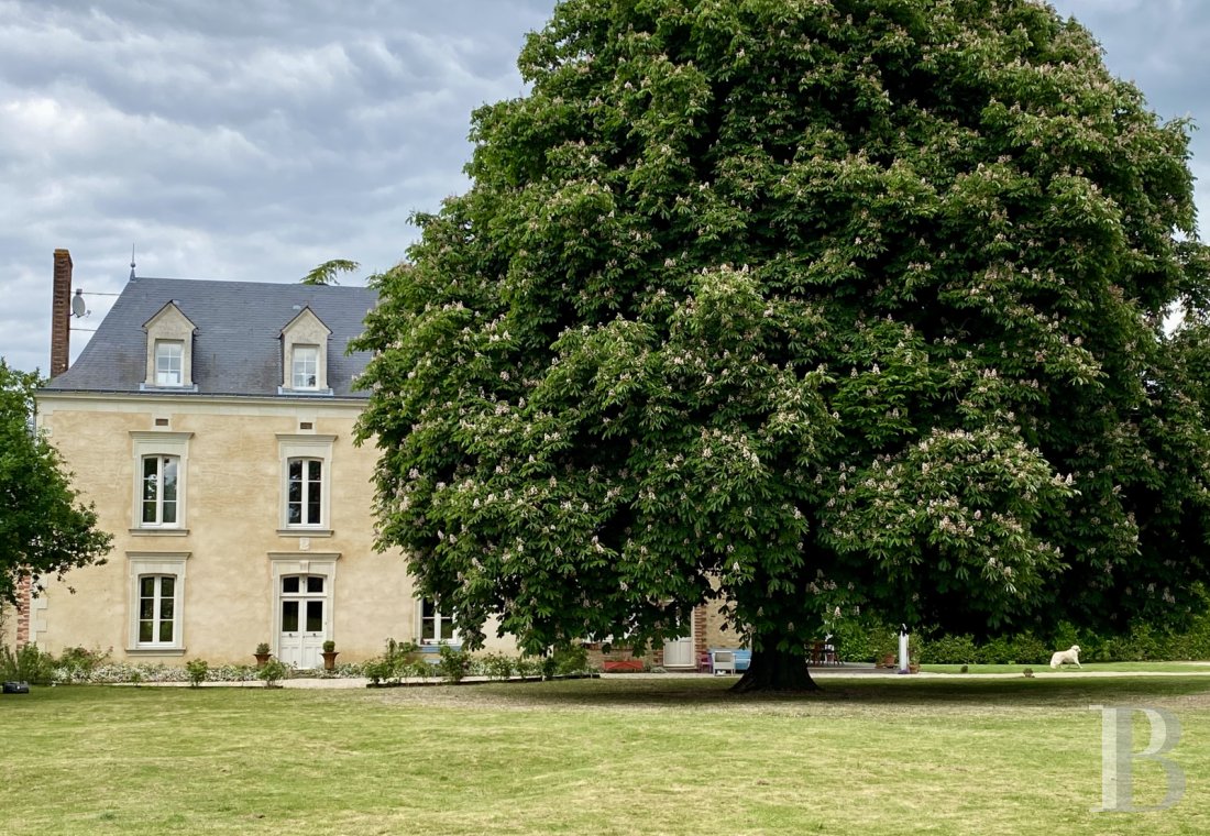 manoirs a vendre pays de loire   - 1