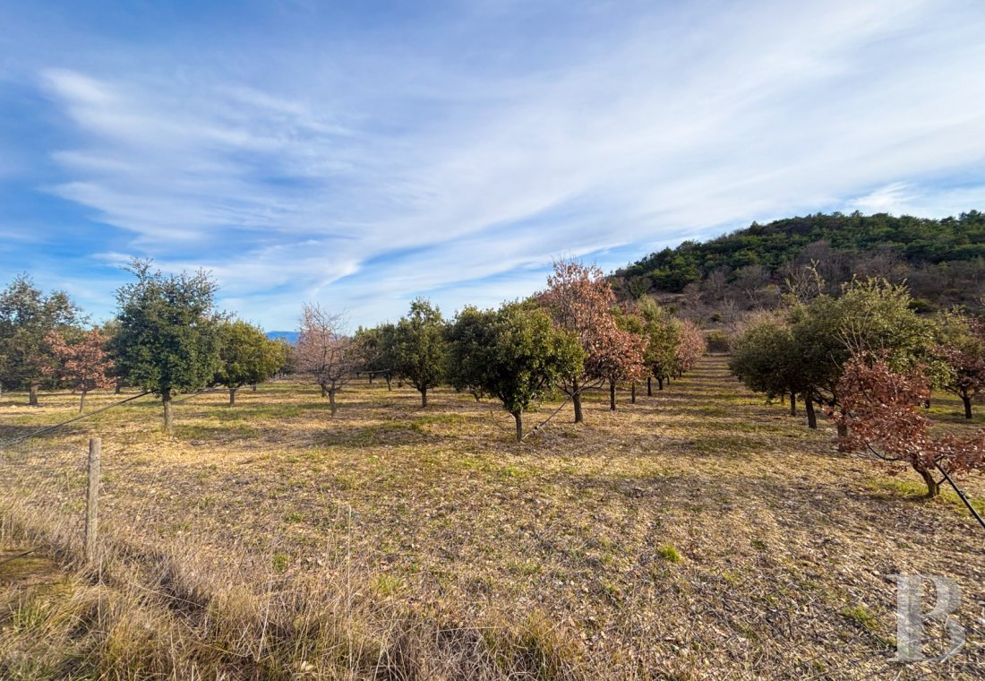 traditional mas house for sale provence cote dazur   - 13