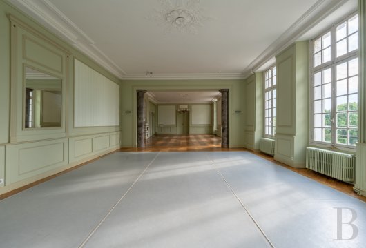 chateaux a vendre centre val de loire   - 8