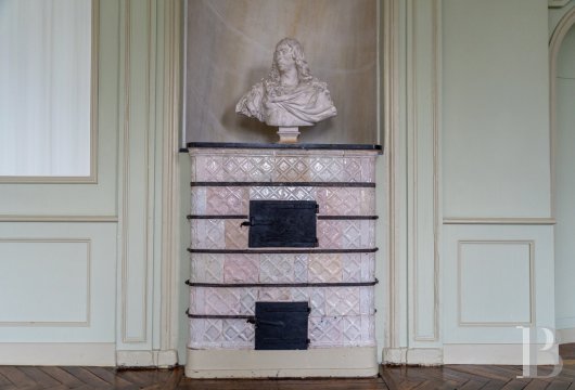 chateaux a vendre centre val de loire   - 19