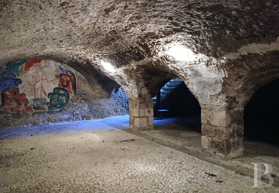 chateaux a vendre centre val de loire   - 22