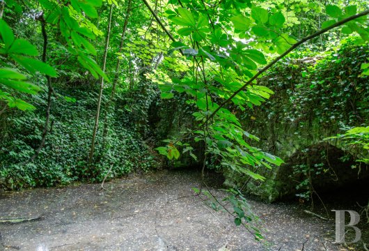 chateaux a vendre ile de france   - 21