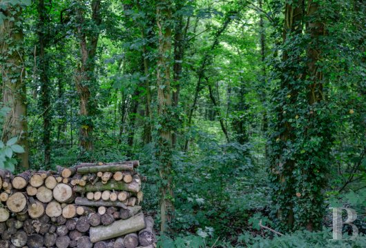 chateaux a vendre ile de france   - 22