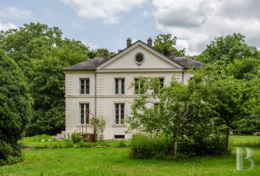 chateaux a vendre ile de france   - 5