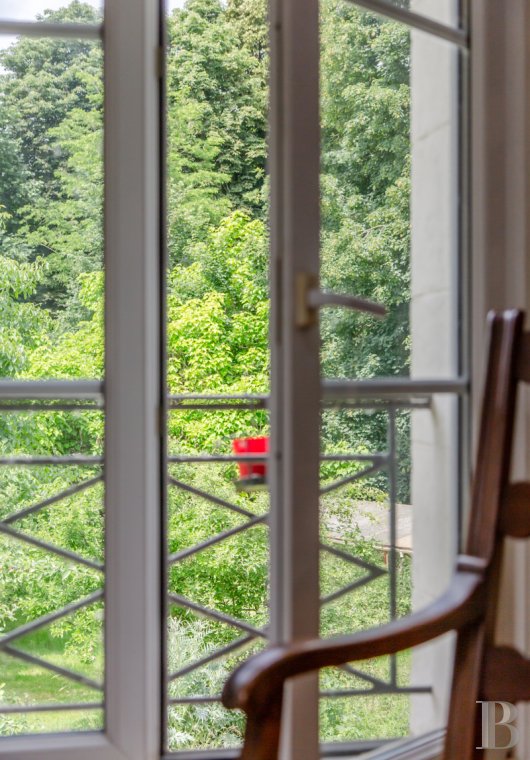chateaux a vendre ile de france   - 11
