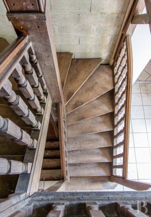 chateaux a vendre ile de france   - 9