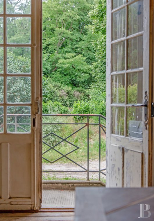 chateaux a vendre ile de france   - 16
