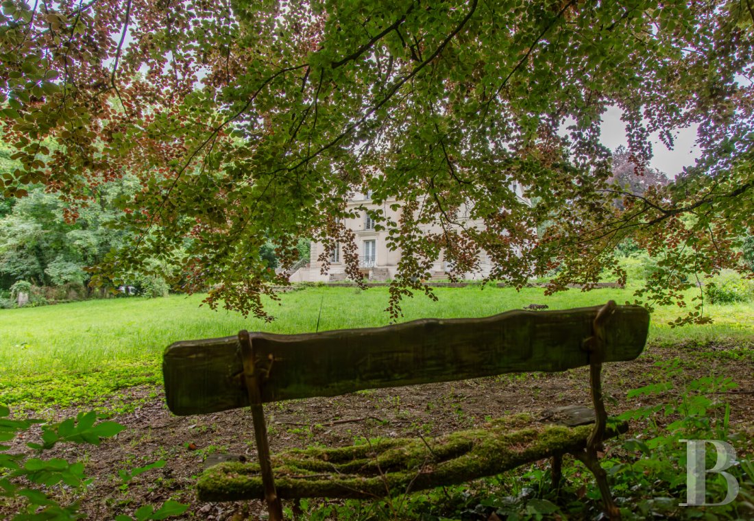 chateaux a vendre ile de france   - 23