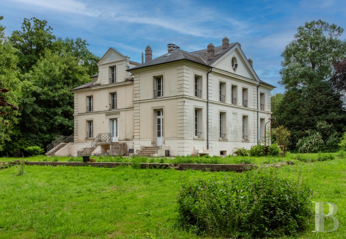 chateaux a vendre ile de france   - 7