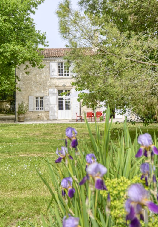 A renovated house on a wine-growing estate just outside La Rochelle in Charente-Maritime - photo  n°6