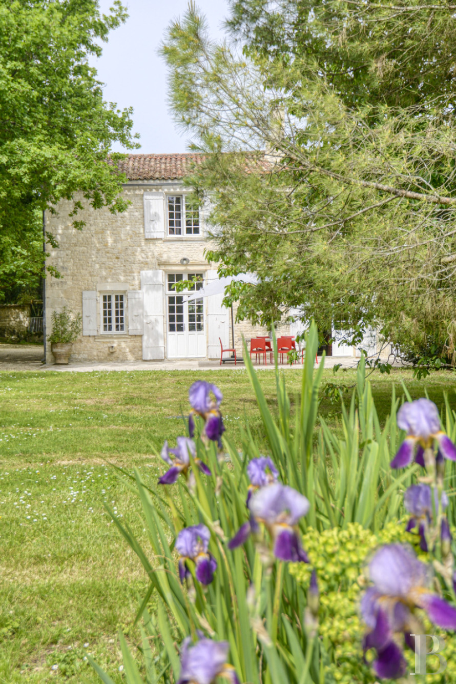 A renovated house on a wine-growing estate just outside La Rochelle in Charente-Maritime - photo  n°6