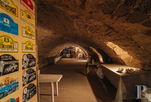 chateaux a vendre rhones alpes   - 15