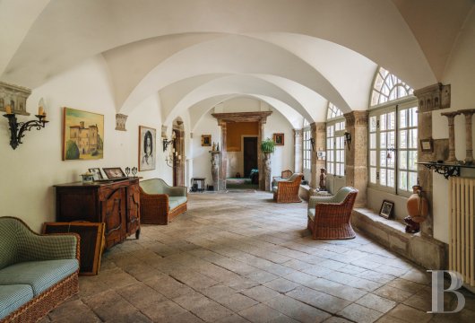 chateaux a vendre rhones alpes   - 11