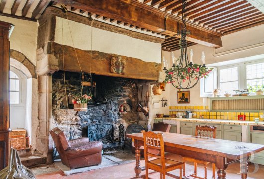 chateaux a vendre rhones alpes   - 14