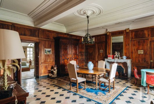 chateaux a vendre rhones alpes   - 13