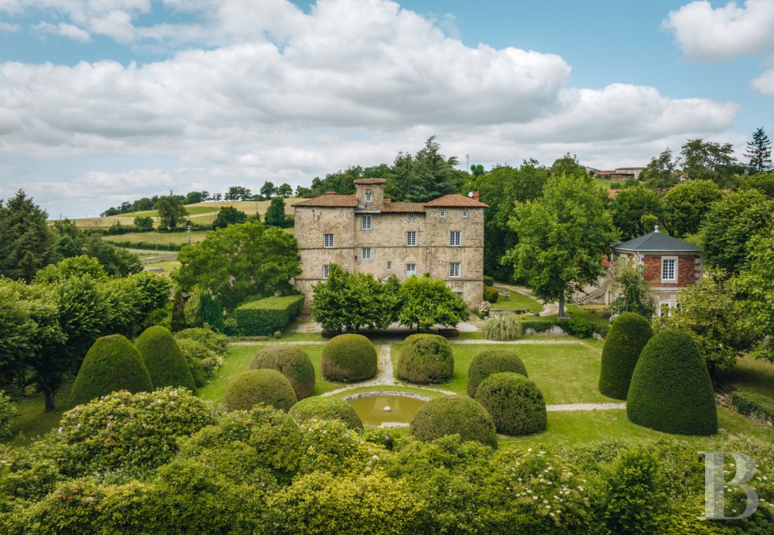 chateaux a vendre rhones alpes   - 1