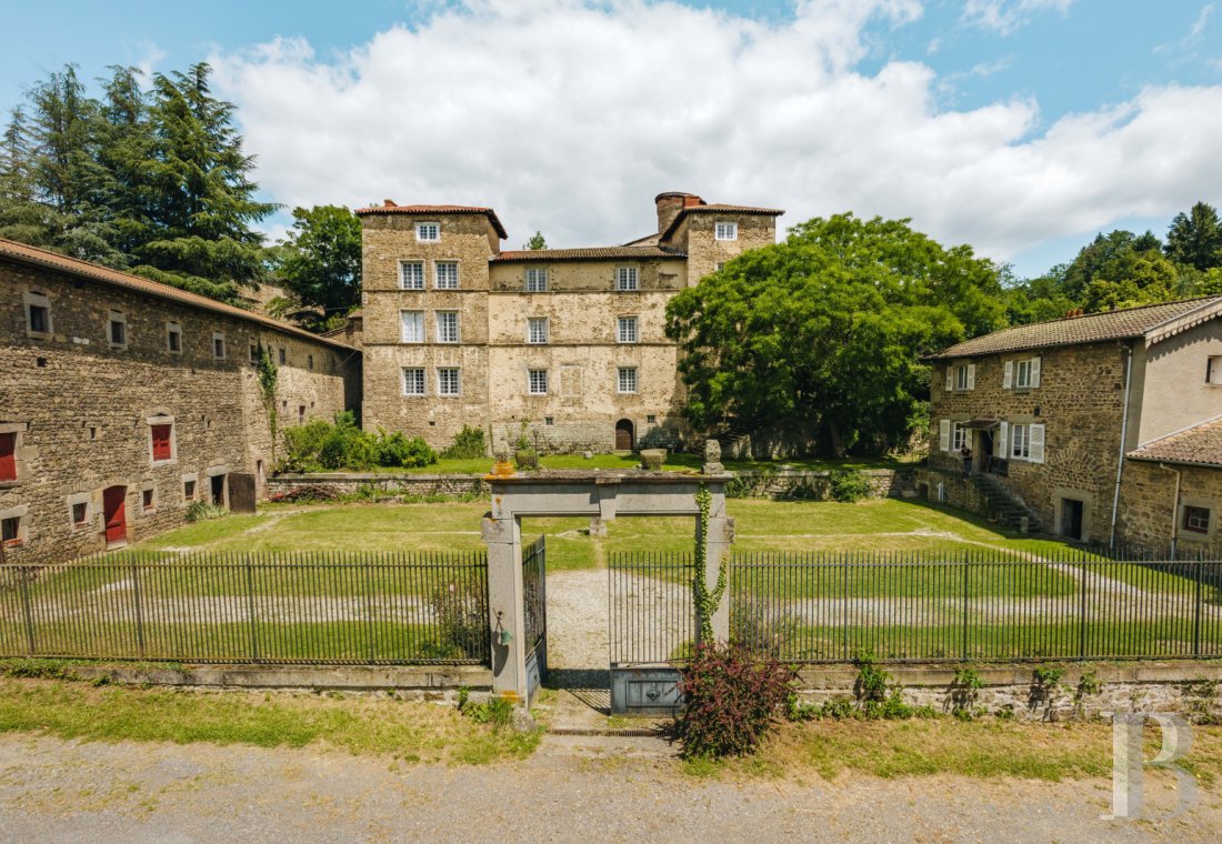 chateaux a vendre rhones alpes   - 3