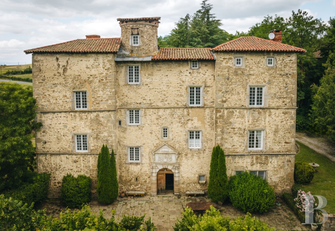 chateaux a vendre rhones alpes   - 2