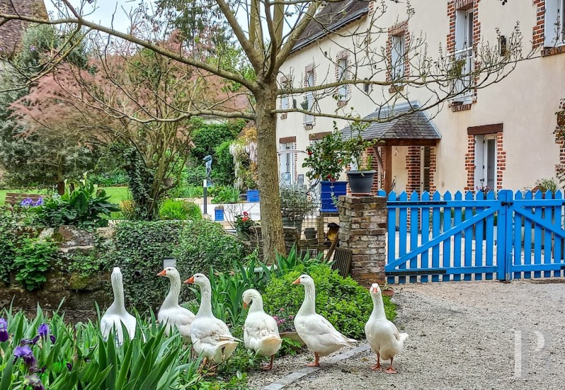 maisons de caractere a vendre pays de loire   - 1