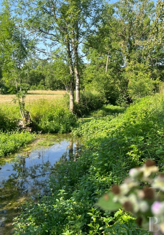 demeures et maisons a vendre france champagne ardennes   - 17