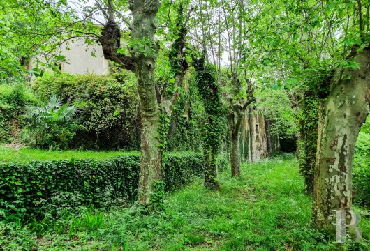 property for sale France languedoc roussillon   - 7