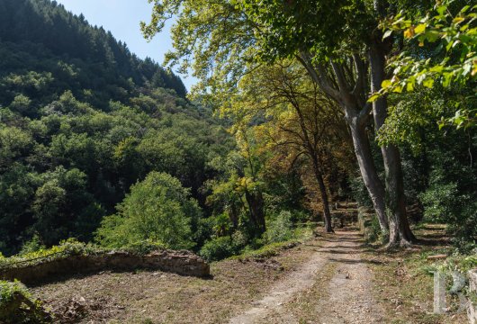belles demeures languedoc roussillon   - 7