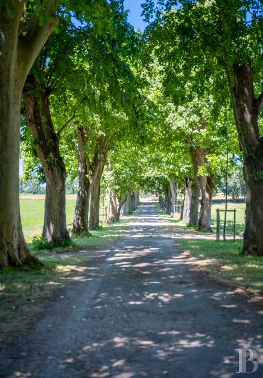 Dans le Lot-et-Garonne, à l’est de Villeneuve-sur-Lot, un château d’origine médiévale surplombant la rivière  - photo  n°45