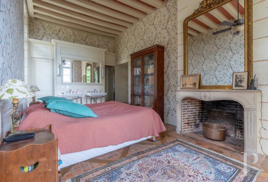 chateaux for sale France center val de loire   - 8