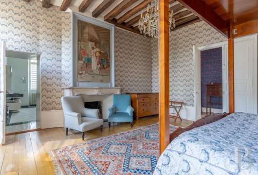 chateaux for sale France center val de loire   - 9