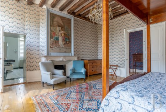 chateaux a vendre centre val de loire   - 9