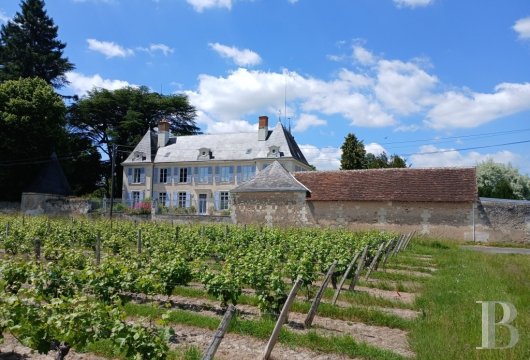 center-val-de-loire - A carefully restored chateau with converted outbuildings, at the edge of the Sologne and Touraine areas, in walled grounds with vineyard views