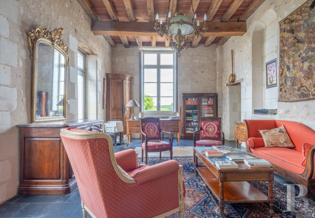 chateaux for sale France center val de loire   - 5