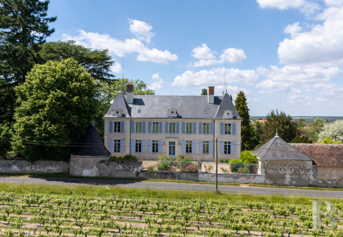 chateaux a vendre centre val de loire   - 1