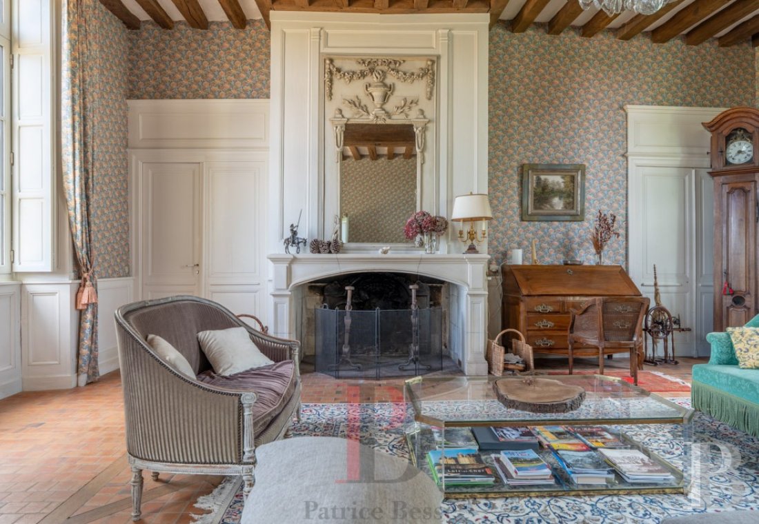 chateaux a vendre centre val de loire   - 3