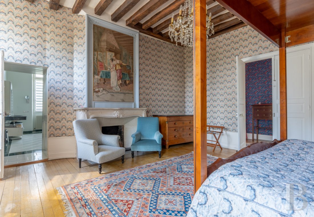chateaux for sale France center val de loire   - 8