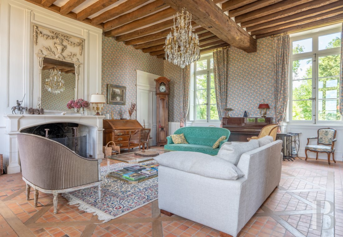 chateaux for sale France center val de loire   - 3