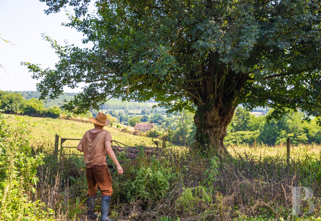 Farms for sale - lower-normandy - An elegant, half-timbered house with large farm buildings,  nestled in the Pays d’Auge province of Normandy
