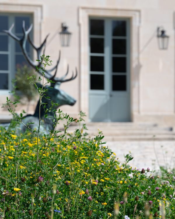 A completely renovated royal hunting lodge in the heart of the Saint-Germain-en-Laye forest - photo  n°2