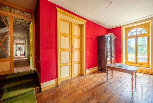 chateaux for sale France auvergne   - 15