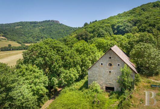 chateaux for sale France auvergne   - 25