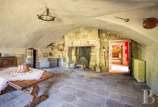 chateaux for sale France auvergne   - 11