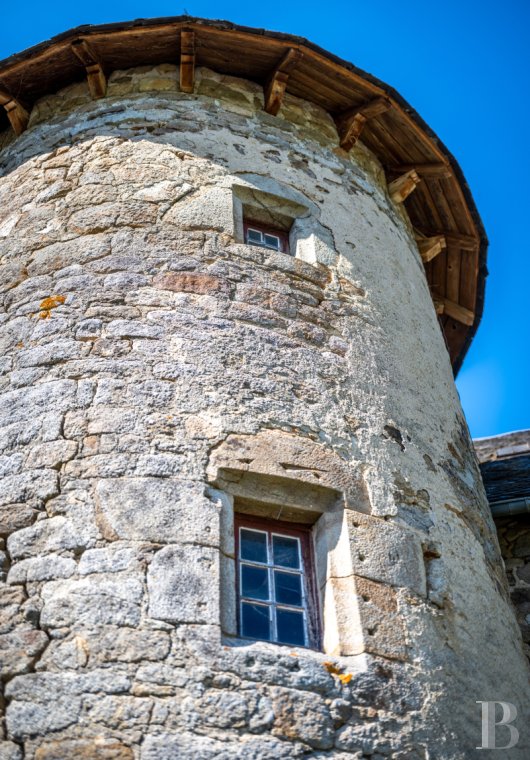 chateaux for sale France auvergne   - 29