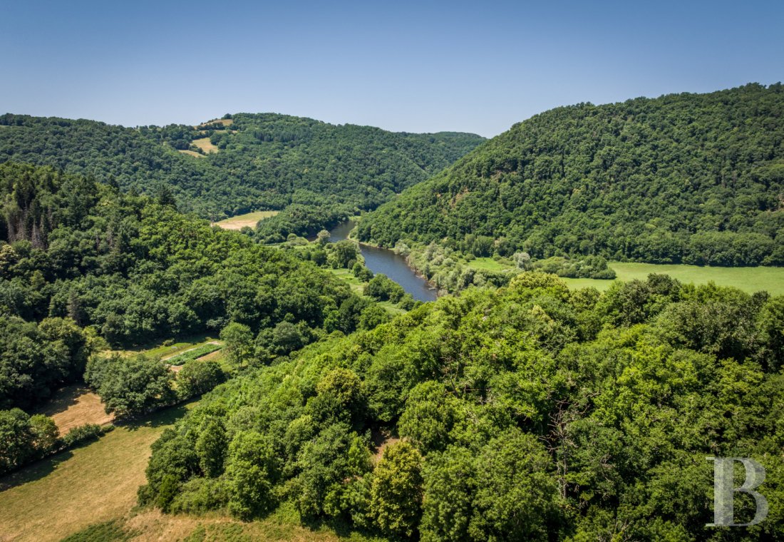 chateaux for sale France auvergne   - 31