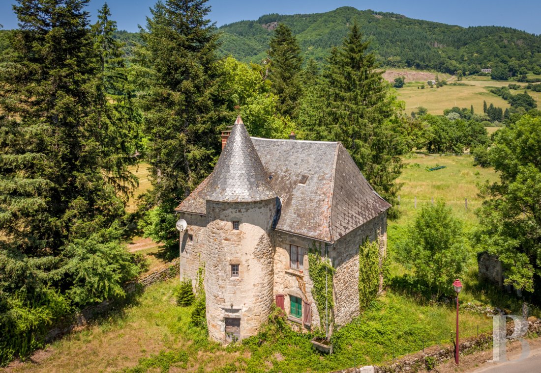 chateaux for sale France auvergne   - 28