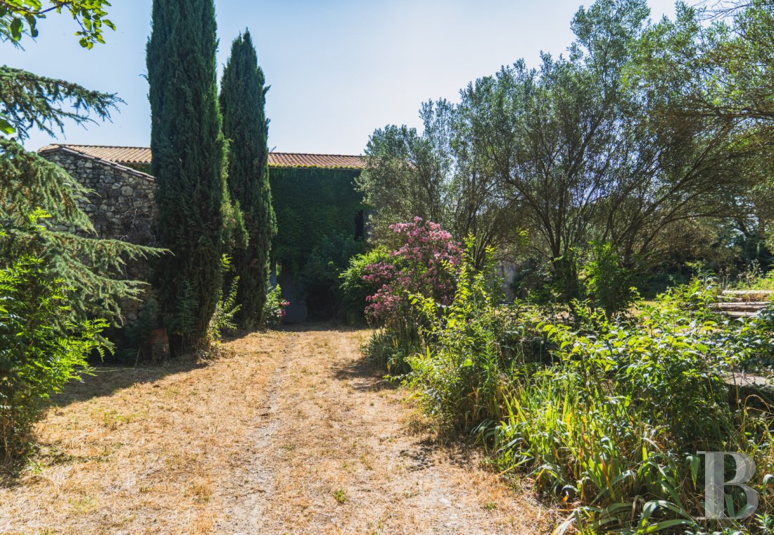 character properties France languedoc roussillon   - 13
